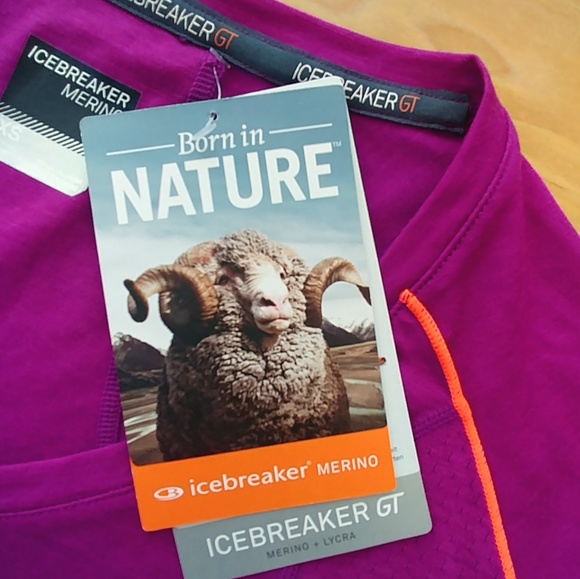 NWT Icebreaker merino flash short sleeve purple XS - Picture 4 of 8
